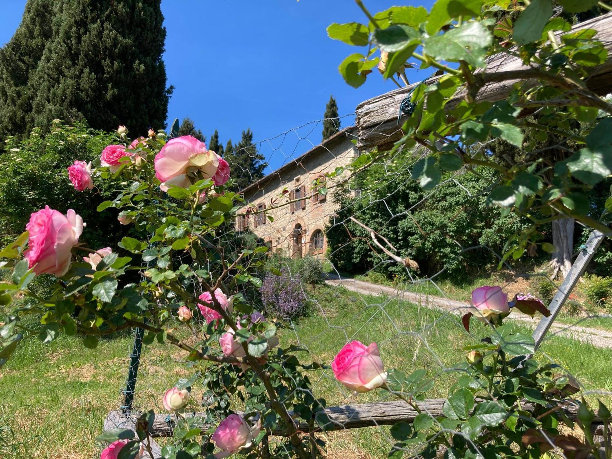 Agriturismo Il Caio Cetona Exterior photo