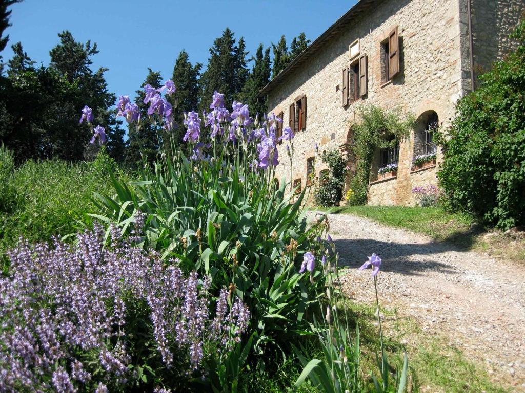 Agriturismo Il Caio Cetona Exterior photo